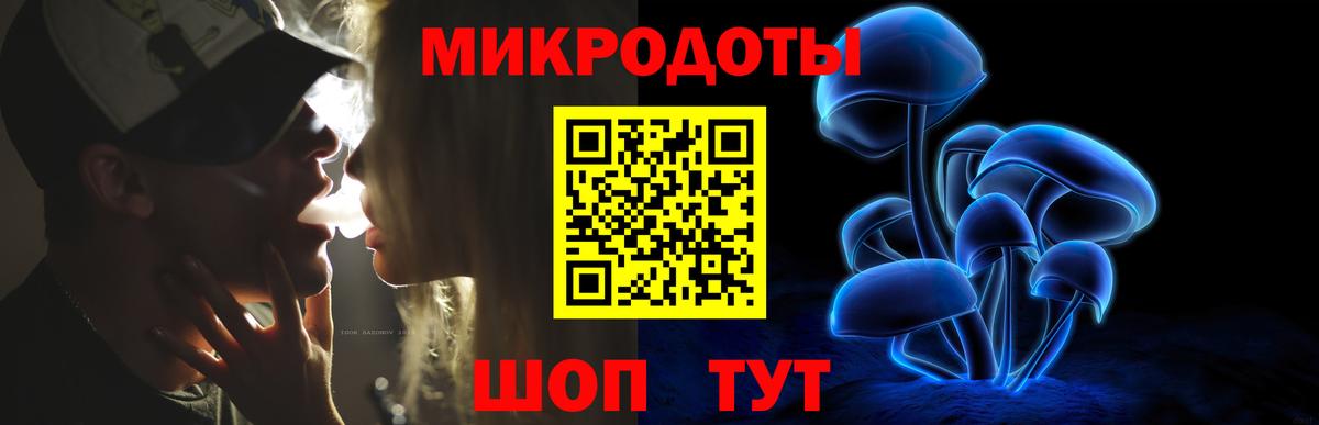 Большой Камень  Псилоцибиновые грибы прущие грибы  Вход с VPN 